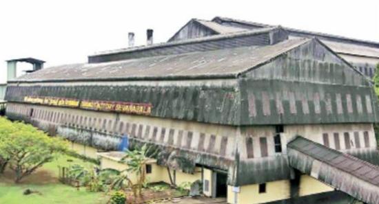 Govt Approves Compensation for Sugarcane Farmers